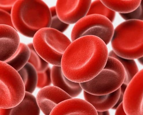 Eisenmangel - Rote Blutzellen - Osteopathie Kiel
